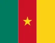 Cameroon flag